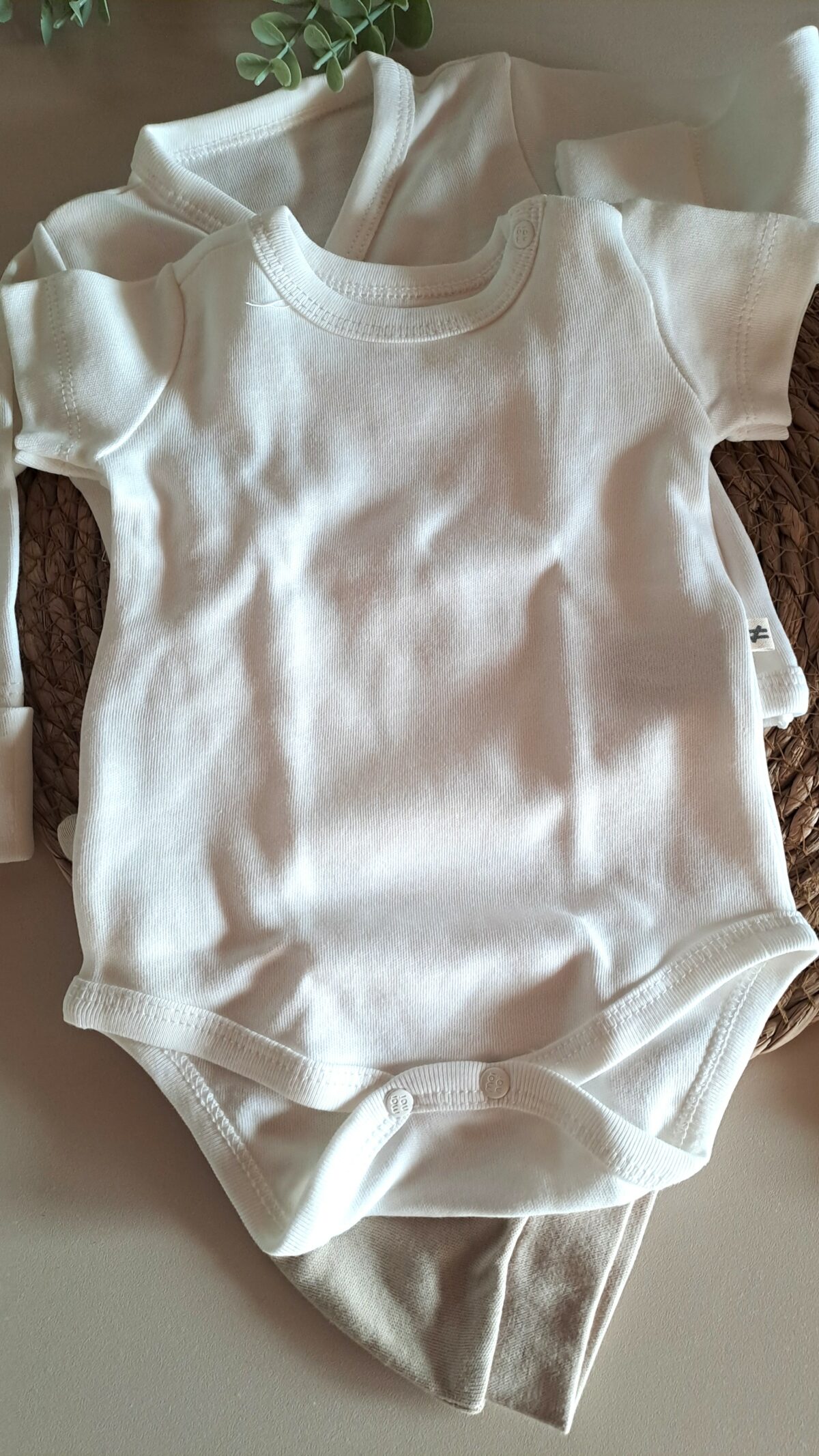 Badili Kendinden Eldivenli Dinazor Detaylı 5li Set - Görsel 6