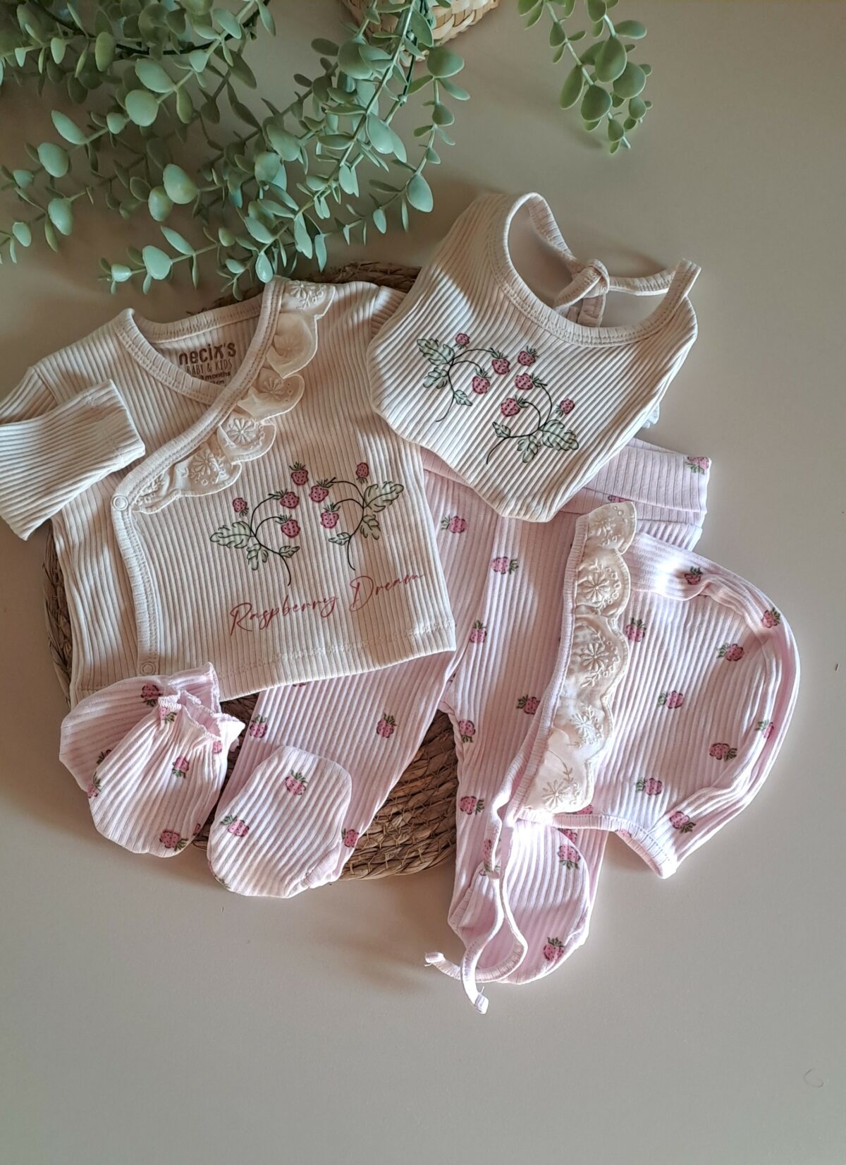 Ahududu Desenli Fisto Detaylı 5li Set - Görsel 1