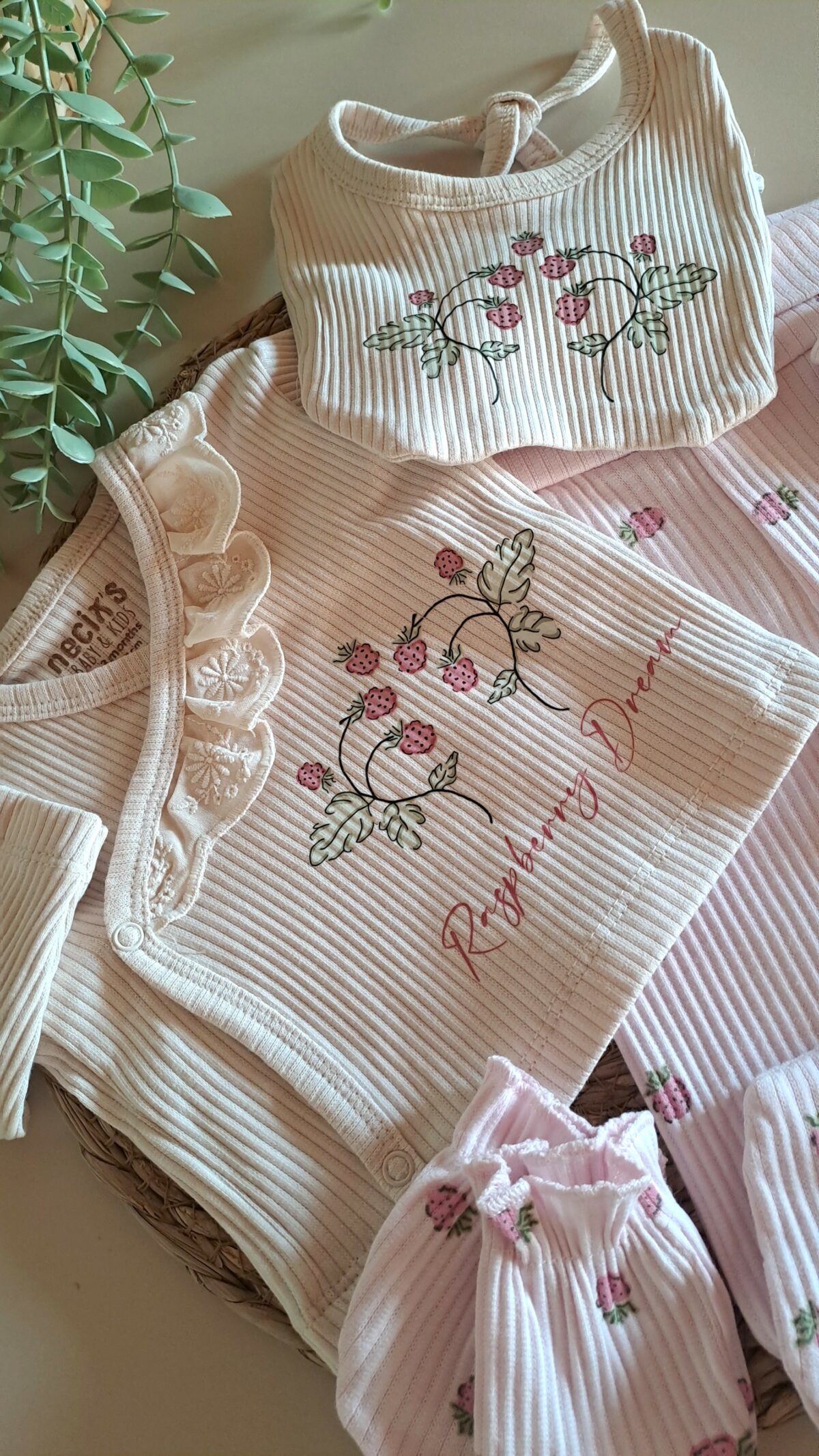 Ahududu Desenli Fisto Detaylı 5li Set - Görsel 2