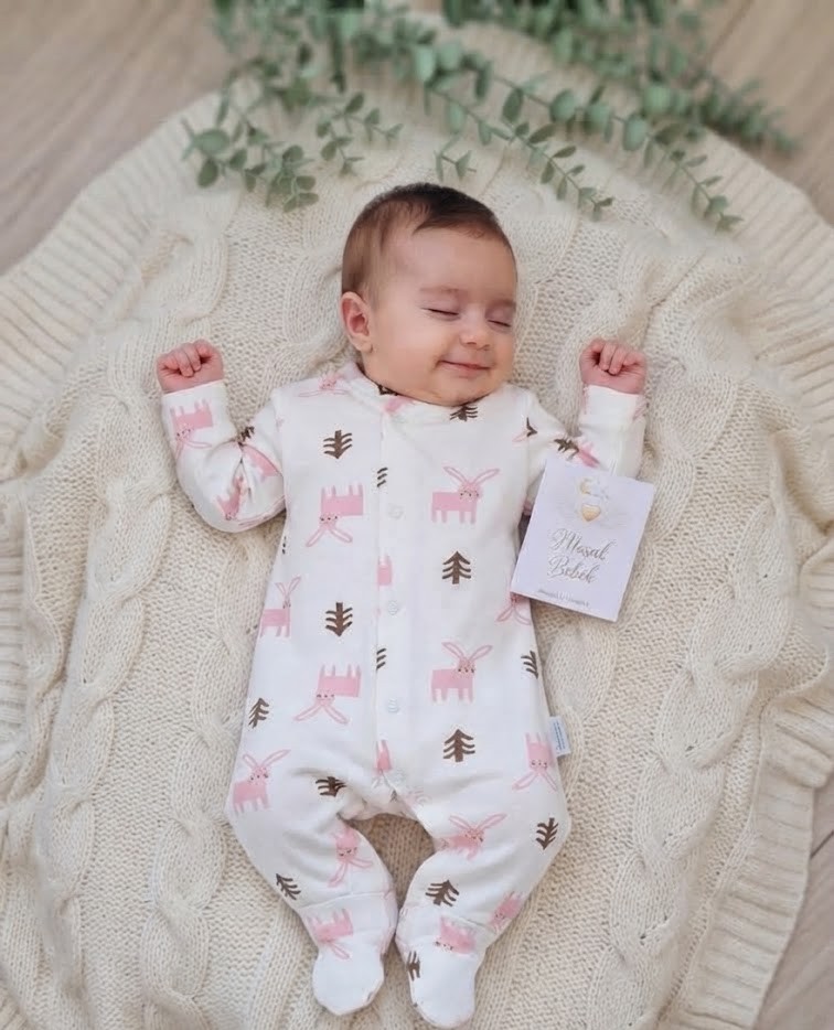 ca0b43d5-017b-4772-b37f-14a7fa9f8ea4 Tavşan Desenli Kız Bebe Tulum - Görsel 1